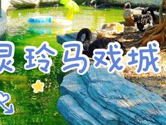 -灵玲国际马戏城