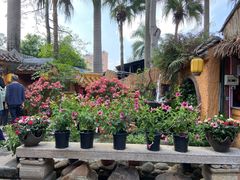 -园林美食城·本土农家菜(杨和镇店)