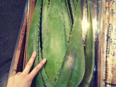 -果蔬好生活超市(乐堤港店)