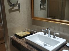 -圣爵菲斯大酒店(长沙世界之窗店)