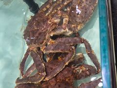 -万龙洲海鲜(大兴绿地缤纷城店)