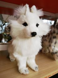 -IMON·HANSA潮玩玩偶毛绒玩具(通州万象汇店)