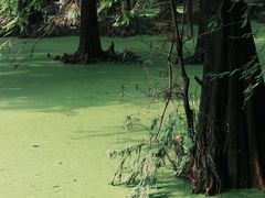 -兰拓相机租赁·二手(杭州店)