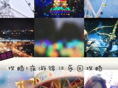 -锦江乐园舞狸花花游园会(夜场专享)