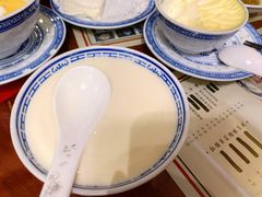 招牌姜撞奶-捷信牛奶甜品世家(五道口店)