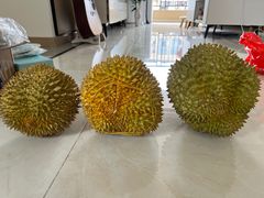 -海吉星市场