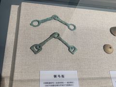 -巴音郭楞蒙古自治州博物馆