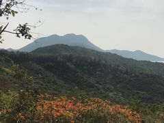 -南丫岛