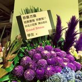 #芝道旅行：15天游台湾-day6# 1️⃣大稻埕—