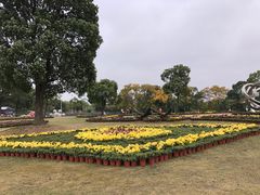 -上海月湖雕塑公园