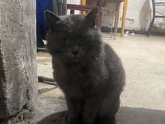 -安庆柴火馄饨(马道街店)