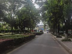 -温江公园