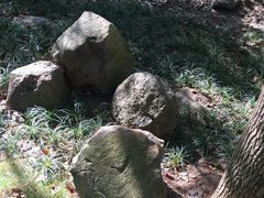 -南京市江宁方山