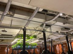 大堂-猫爪爪原切自助烤肉(观音桥阳光世纪店)