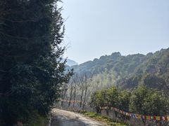 -韶关经律论国际酒店温泉