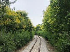 -西青郊野公园