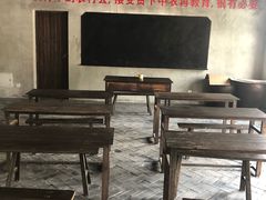 -同里国家湿地公园