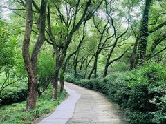 -宁波市保国寺古建筑博物馆