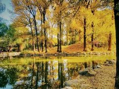 -圆明园遗址公园-藻园门售票处