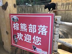 -东方熊牧场