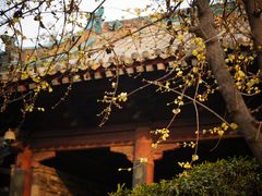 -大学习巷清真寺