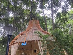 -二荆条·蜀鲜汇城市森林火锅