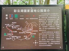 -重庆彩云湖湿地公园