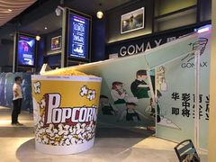 -新影联·华谊兄弟影院(望京店)
