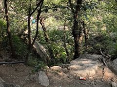 -嵖岈山风景区