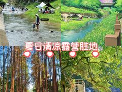 -萧邦音乐会所KTV·蒸汽活海鲜自助(福田店)