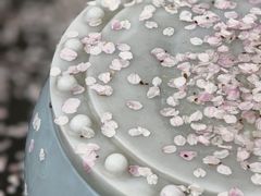 -杭州少年儿童公园