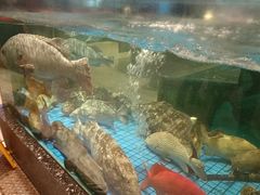 -聚福宝合苑食府(南头镇店)