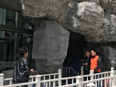-罗田天堂寨风景区