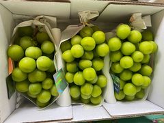 日本进口晴王-东方鼎信农副产品交易中心