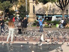 -加泰罗尼亚广场