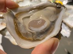 粉钻-Oyster Talks 四度蚝法餐厅