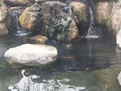 -秀丽东方