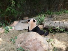 -广州长隆野生动物世界