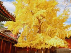 -承恩寺