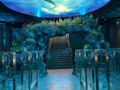 -陕西自然博物馆