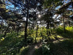 -北京西山国家森林公园