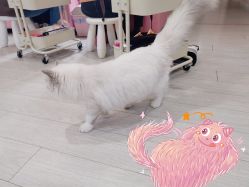 -Beauty Nails 美甲美睫皮肤管理