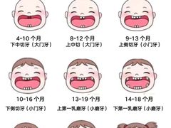 -维乐口腔(美维云门诊陆家嘴店)