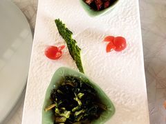 -帐篷客·溪龙茶谷度假酒店