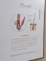 -熙朵美学植发连锁