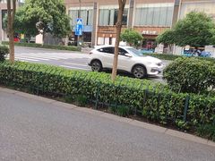 -杨氏青龙虾·羊蝎子(珠江路店)