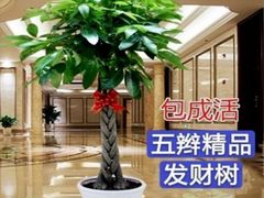 -马记烧烤(曲沃路店)