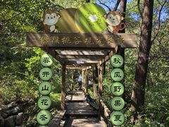 -大岭沟猕猴桃谷风景区