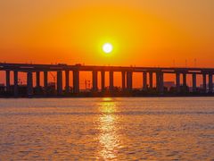 -先锋海鲜市场