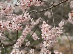 -太阳宫公园